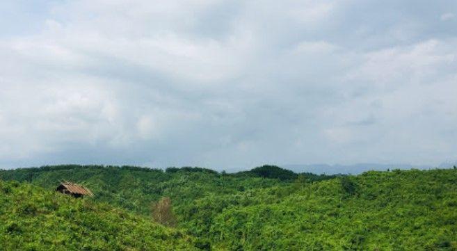 chunati wildlife sanctuary এর ছবি