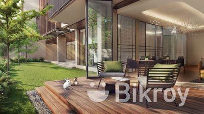 Edison Angelo Project in Basundhara R/A