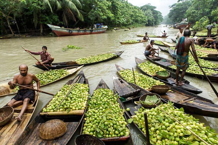 jhalkathir atghor kuriyanar vasoman peyarar bazar এর ছবি