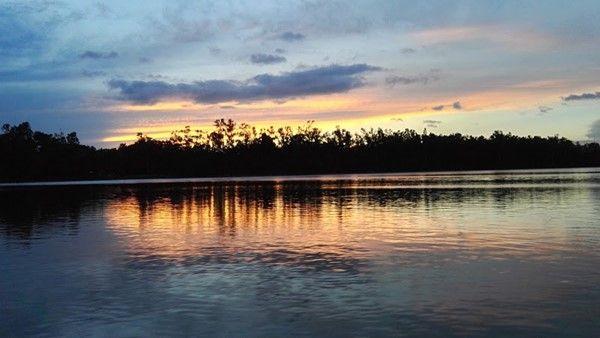 nilphamari area guide এর ছবি