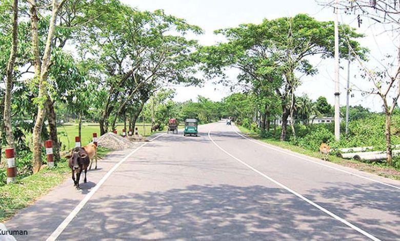 tamabil road এর ছবি