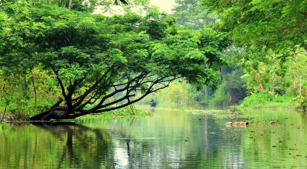 kalizira area guide এর ছবি