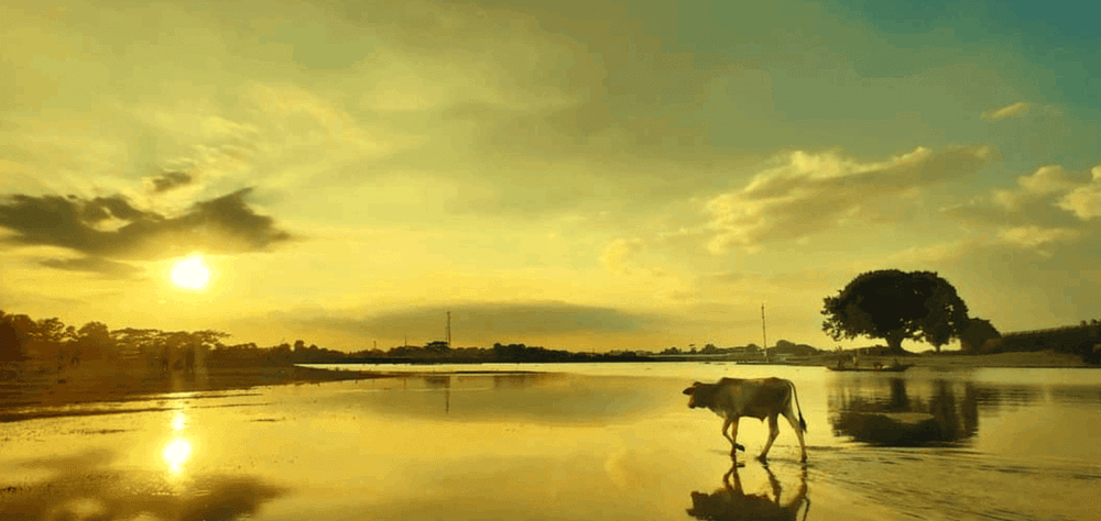 kangsa river এর ছবি