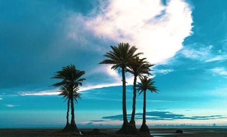 Nijhum dwip নোয়াখালী nijhum dwip নোয়াখালী