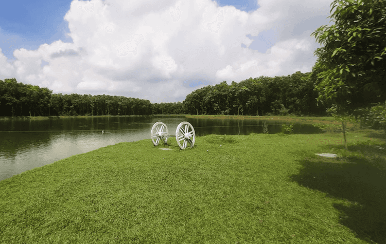 salora forest এর ছবি