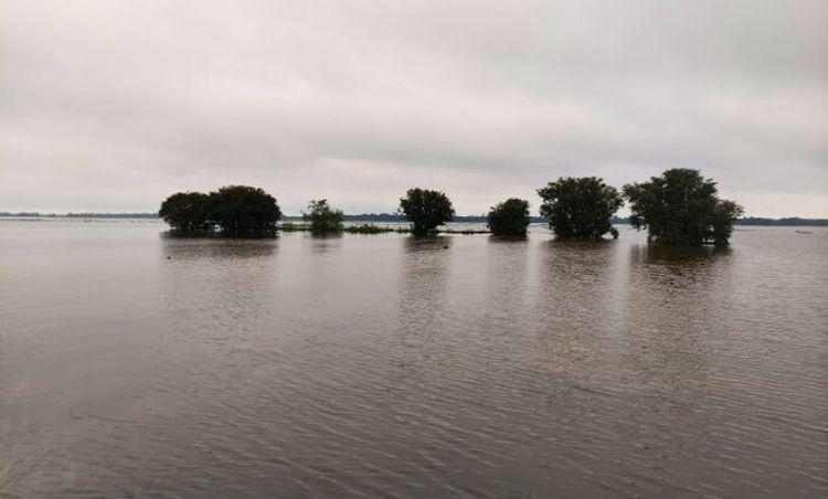 patachatal beel এর ছবি