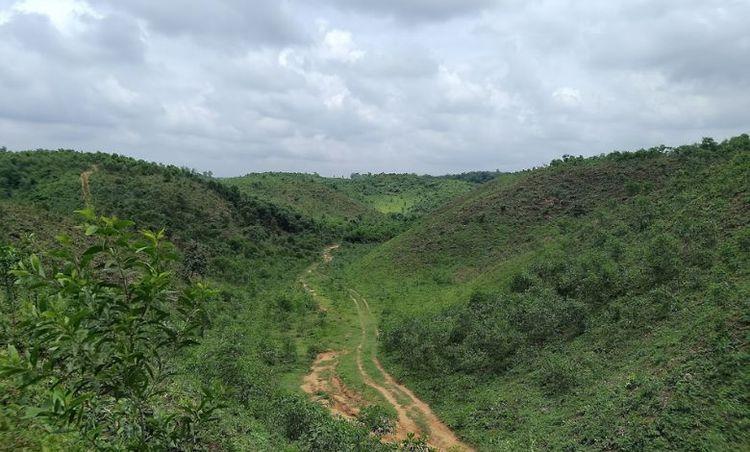 karnajhora raja pahar এর ছবি