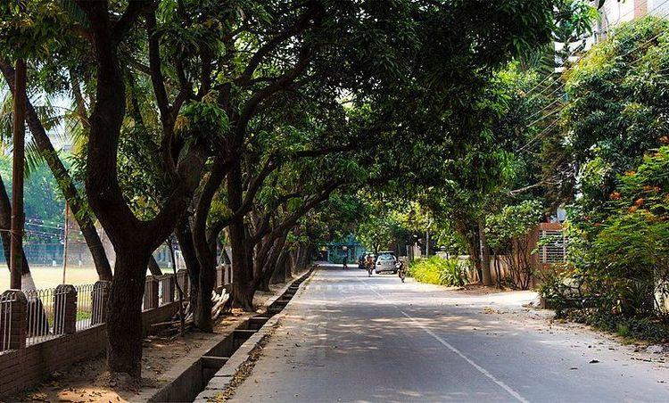 banani dohs এর ছবি