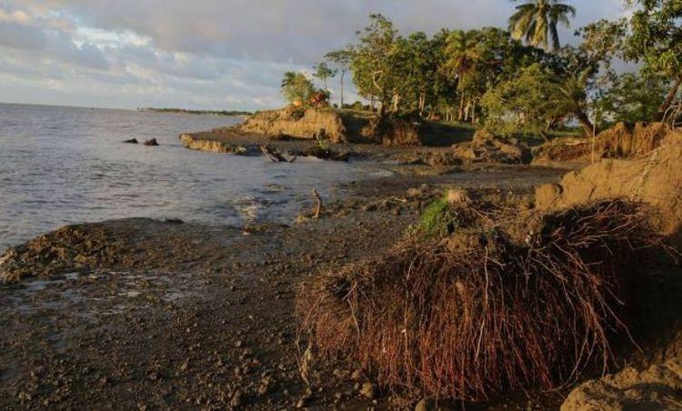 monpura island এর ছবি