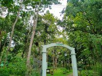 satchari national park হবিগঞ্জ