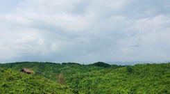 chunati wildlife sanctuary লোহাগাড়া