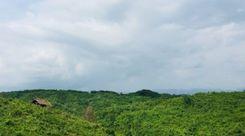 chunti wildlife sanctuary Chandanaish