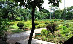 united nations park Chawkbazar