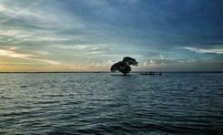 hakaluki haor বড়লেখা