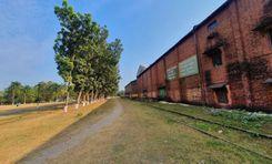 carew & company bangladesh limited চুয়াডাঙ্গা