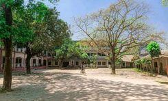 paglapir school and college পাগলাপীর