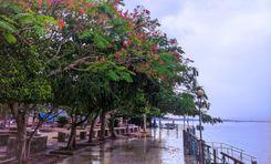 jhalokati municipal mini park ঝালকাঠি