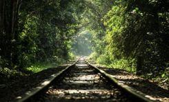 lawachara national park সিলেট