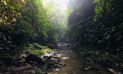 lasuban canyon Sreemangal