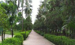 eco park মিঠাপুকুর